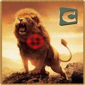 Wild Hunters Battle 2017