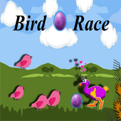 Bird Egg Race icon