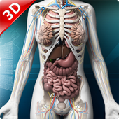 Human 3D Anatomy icon