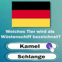 QuizHallo Allgemeinwissen Quiz