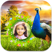 Peacock Photo Frames icon