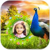 Peacock Photo Frames on 9Apps