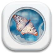Pure White C Launcher Theme icon