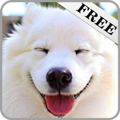 Sounds of animals 2 icon