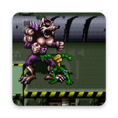 Battle toads sega tips icon