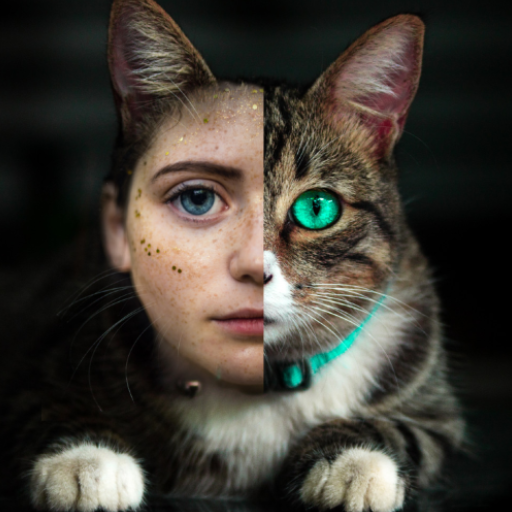 Human to Cat: Face Matching, Cat Alike icon