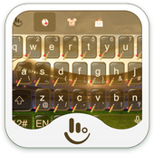Play Cricket icon