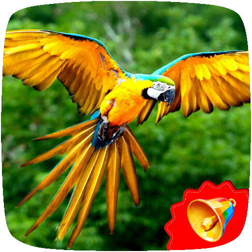 Parrot Sounds icon