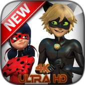 Ladybug And Cat Noir Wallpaper HD