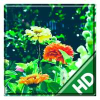 Beautiful Spring Garden APUS Live Wallpaper on 9Apps