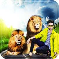 Lion Photo Editor