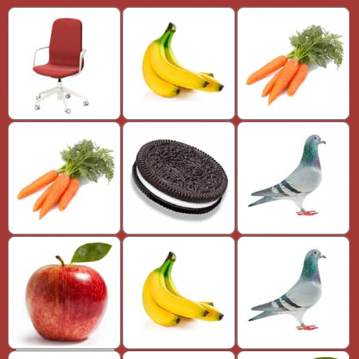 Picture Match - Giochi di memoria icon