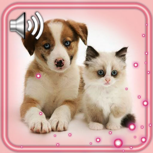 Puppy and Kitty Live Wallpaper icon