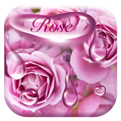 Rose waterdrops toetsenbord icon