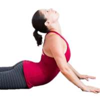 Yoga pour Abdominaux et Fesses on 9Apps