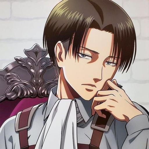 Captain Levi Wallpapers icon