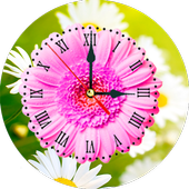 Daisy Clock Live Wallpaper أيقونة