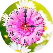 Daisy Clock Live Wallpaper on 9Apps