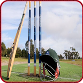 Boom Boom Afridi Batting أيقونة