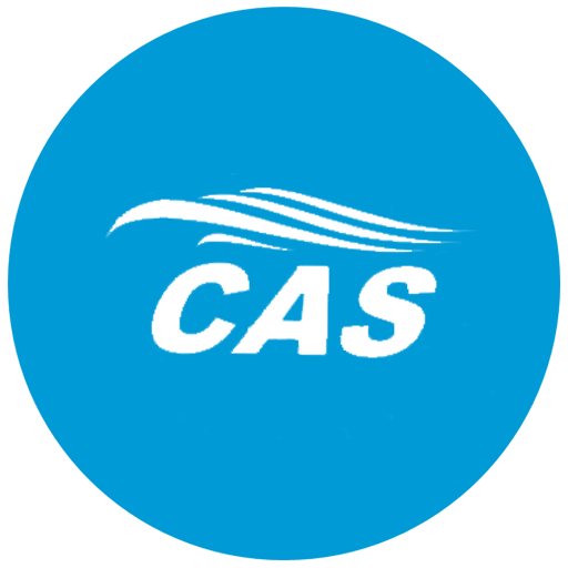 CAS SYSTEMS icon