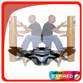 🔥🔥Wing Chun Technique🔥🔥 icon