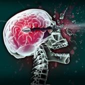 ikon Sniper Simulator