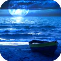 Midnight Ocean Video Wallpaper