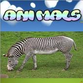 Baby Flash Card Animals Free icon