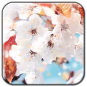 Snow Flower Live Wallpaper icon