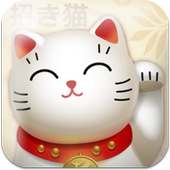 Lucky Cat with Daily Fortune