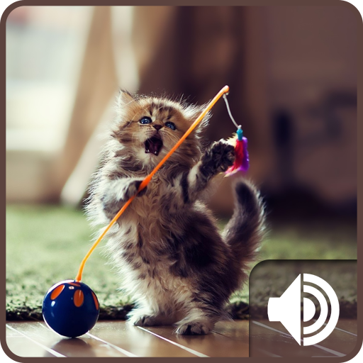 Kitten Sounds icon