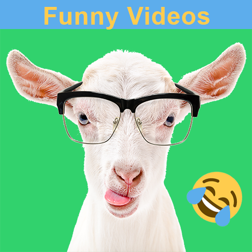 Funny Animal Videos icon