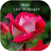 3D Red Rose Live Wallpaper on 9Apps
