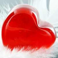 Love fortune teller True on 9Apps