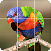 Bird puzzle game icon