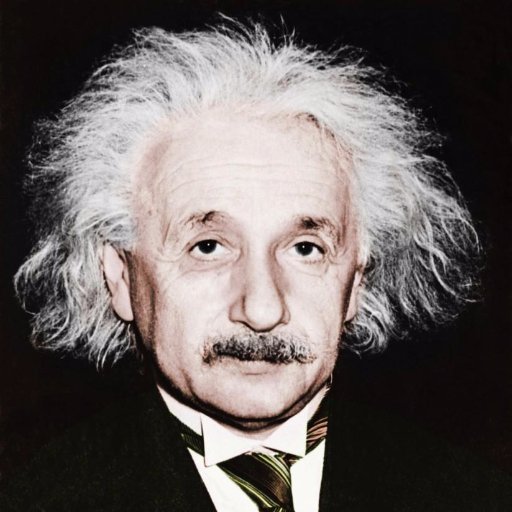 Albert Einstein icon