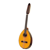 Easy Tuner - Mandolin icon