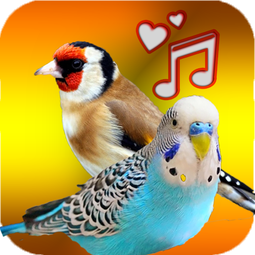 Birds Sounds ( Offline ) icon