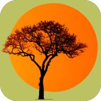 Kruger National Park FieldApp Lite on 9Apps