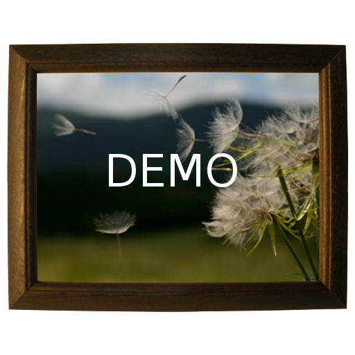 Family slideshow demo icon