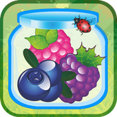 Forest Fruit Jam icon
