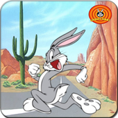 Looney Toons Super Adventure icon