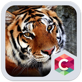 Тема с тигром: темы HD иконка