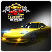 City Sports Car Parking &amp; Driving Simulator 17 icon