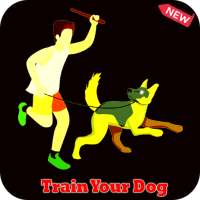 Dog & puppy Training With Clicker