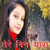 Tere Bin Yara - New Hindi Shayari,Status,Dp,Jokes on 9Apps