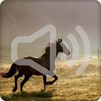 Horse Sound Ringtone on 9Apps