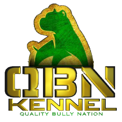 QBN App icon