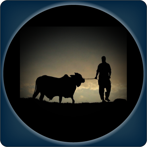 কুরবানীর বিধান  Qurbani Rules icon