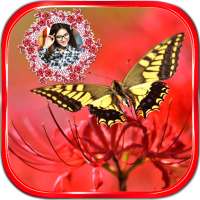 Butterfly Frames on 9Apps